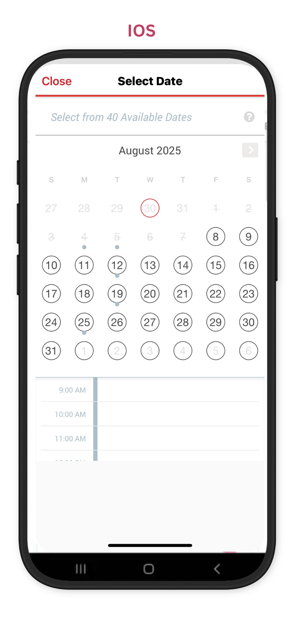 Calendar  IOS.png